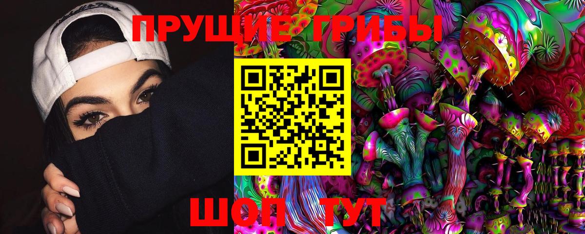 Галлюциногенные грибы Psilocybine cubensis Ухта